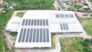 THE INSTALLED PANELS