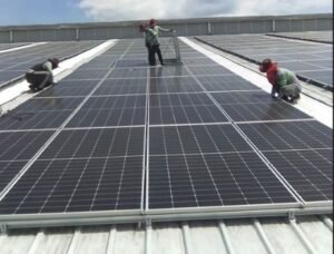 THE INSTALLED PANELS